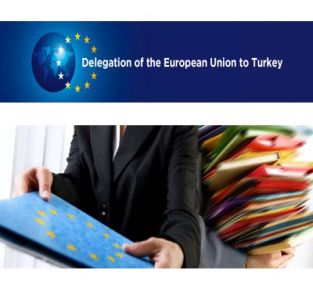 Avrupa Birliği Türkiye Delegasyonu’nda Staj Yapmak İster Misiniz?